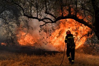 Θάσος: Μάχη με τις φλόγες δίνουν οι δυνάμεις της πυροσβεστικής για την κατάσβεση της φωτιάς