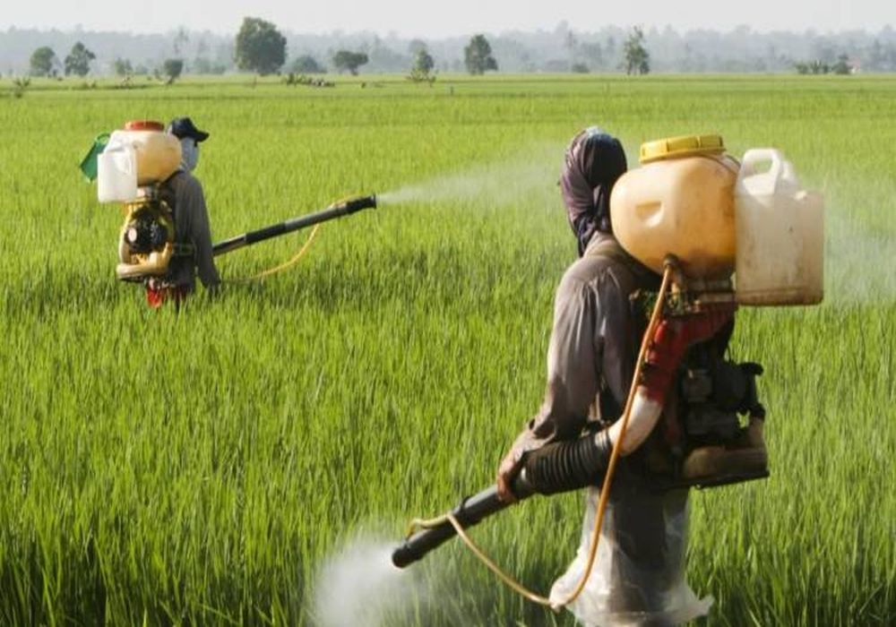 Θεσσαλονίκη: Επίγειοι ψεκασμοί για κουνούπια αύριο στη Νεοχωρούδα – Σύσταση στους πολίτες να μην κυκλοφορούν