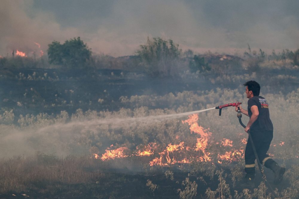 Σε εξέλιξη πυρκαγιά στην Ηλεία – Μεγάλη κινητοποίηση της πυροσβεστικής