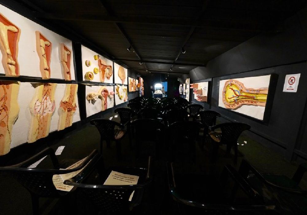 Εξερευνήστε το ανθρώπινο σώμα στο Πάρκο Δεινοσαύρων στο Ωραιόκαστρο! (ΦΩΤΟ)