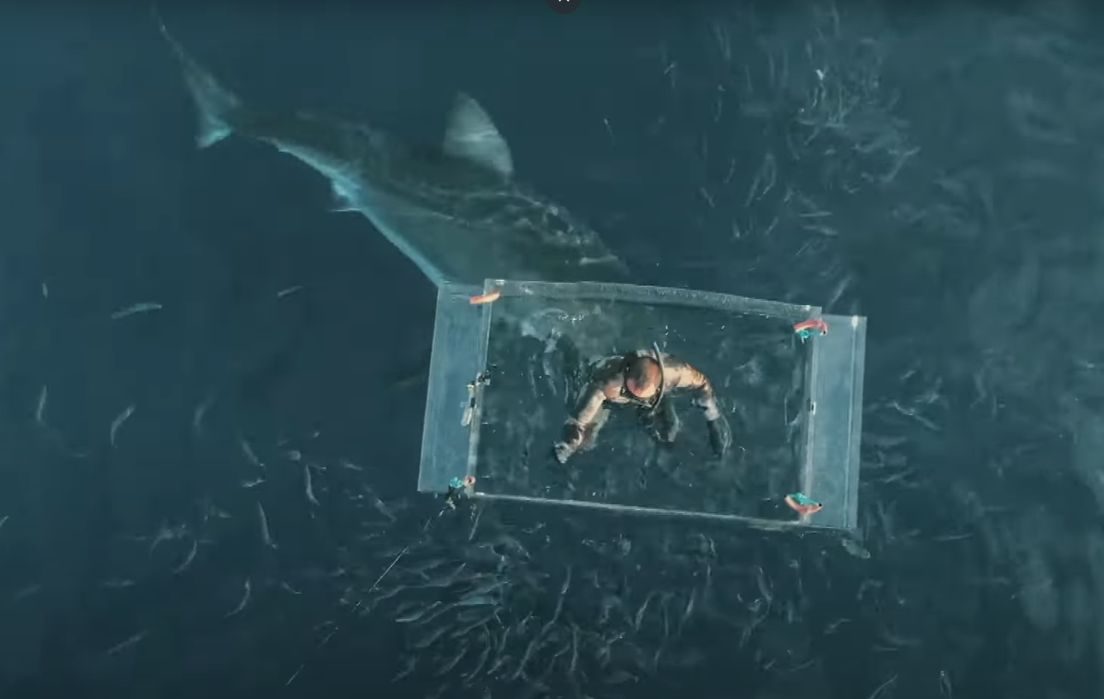 Δύτης γλίτωσε από τα… σαγόνια του καρχαρία! (Video)