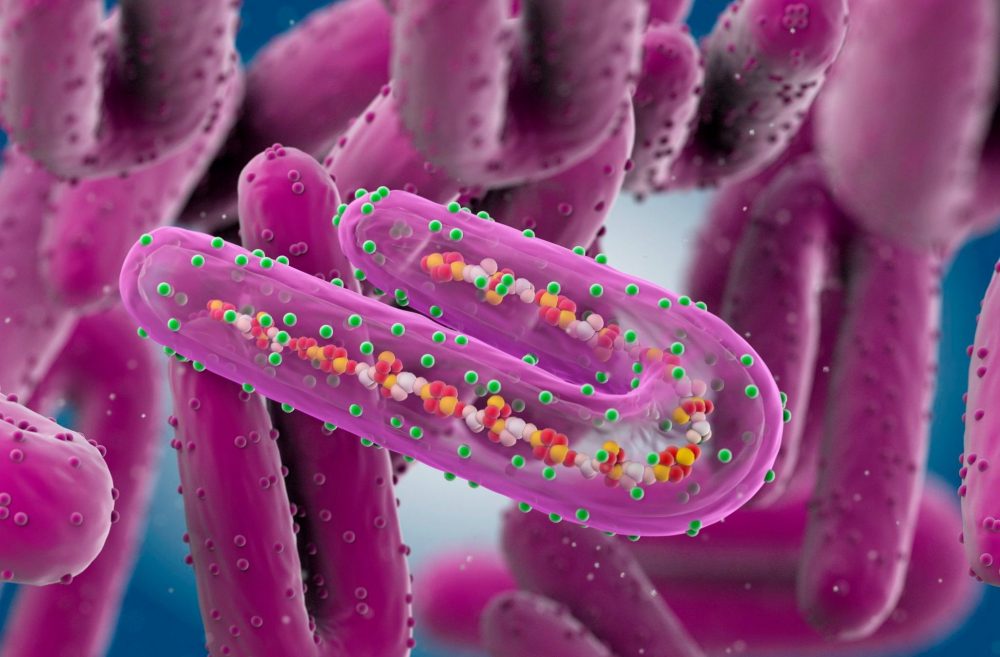 Γκάνα: Πέθανε ένα παιδί από τον άκρως μολυσματικό ιό Μάρμπουργκ