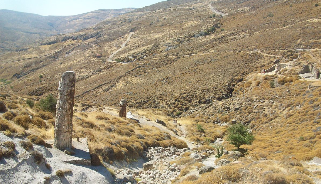 Στη δυτική Λέσβο δεν υπάρχει μόνο ένα απολιθωμένο δάσος αλλά τέσσερα