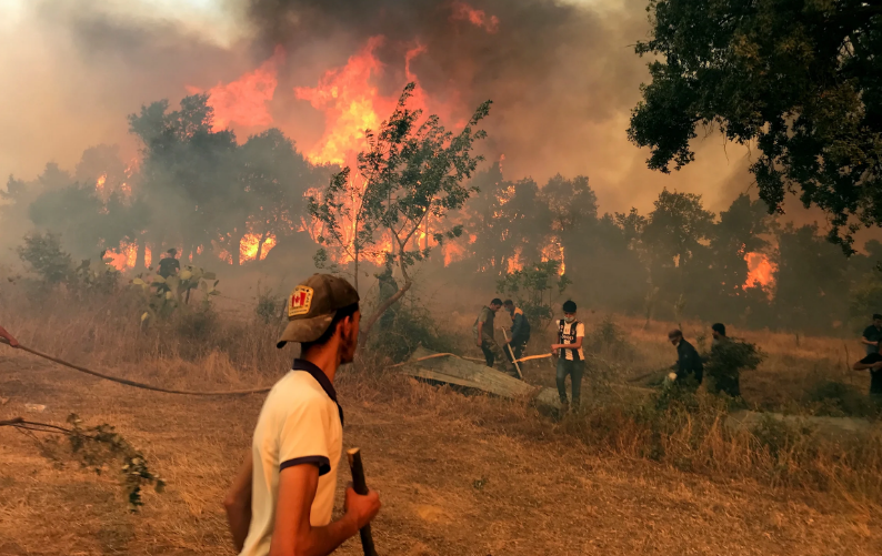 Αλγερία:  Δύο νεκροί, δεκάδες τραυματίες από τις δασικές πυρκαγιές