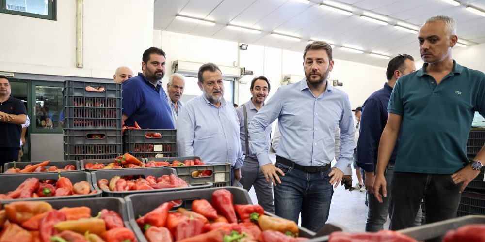 N. Ανδρουλάκης: Δεν είναι προσωπικό, αλλά θέμα δημοκρατίας