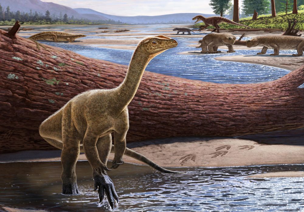 Παλαιοντολογία: Ανακαλύφθηκε ο αρχαιότερος δεινόσαυρος της Αφρικής