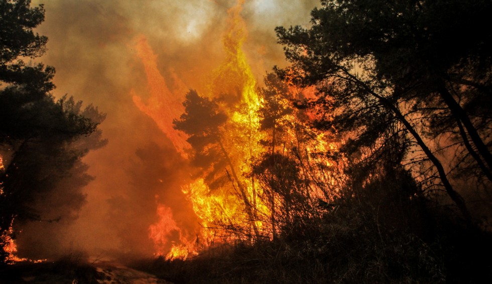 Πυρκαγιά σε δασική έκταση στο Άγιο Όρος