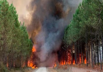 Γαλλία: Δίνει μάχη για την κατάσβεση μιας δασικής πυρκαγιάς «τέρατος» κοντά στο Μπορντό