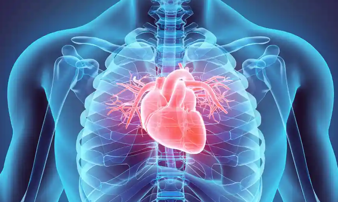 Καρδιά: Καινοτόμος αναίμακτη μέθοδος αξιολογεί την αθηρωμάτωση – Τα 4 πλεονεκτήματά της