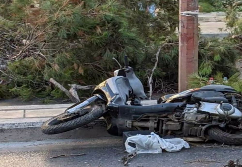 Κρήτη: «Καλό Παράδεισο ψυχή μου» – Συγκλονίζει η χήρα του 51χρονου που καταπλακώθηκε από δέντρο