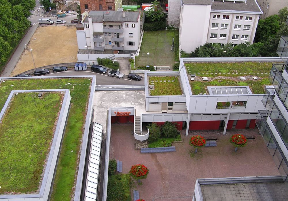 Θεσσαλονίκη: «Ανάσες δροσιάς» από φυτεμένα δώματα και κήπους σε οροφές και ταράτσες