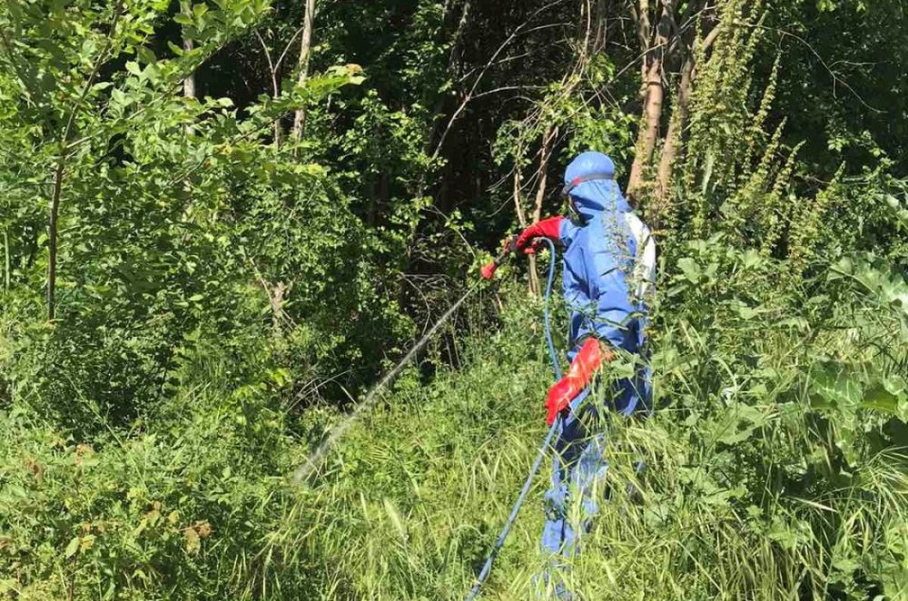 Θεσσαλονίκη: Έκτακτοι ψεκασμοί καταπολέμησης κουνουπιών στη Ν. Ραιδεστό