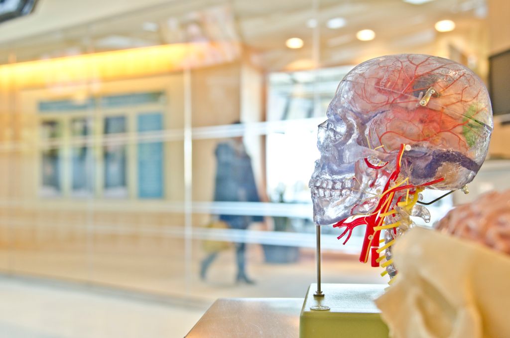 Έρευνα: Οι 80άρηδες με πολύ καλή μνήμη διαθέτουν «σούπερ» νευρώνες στον εγκέφαλό τους