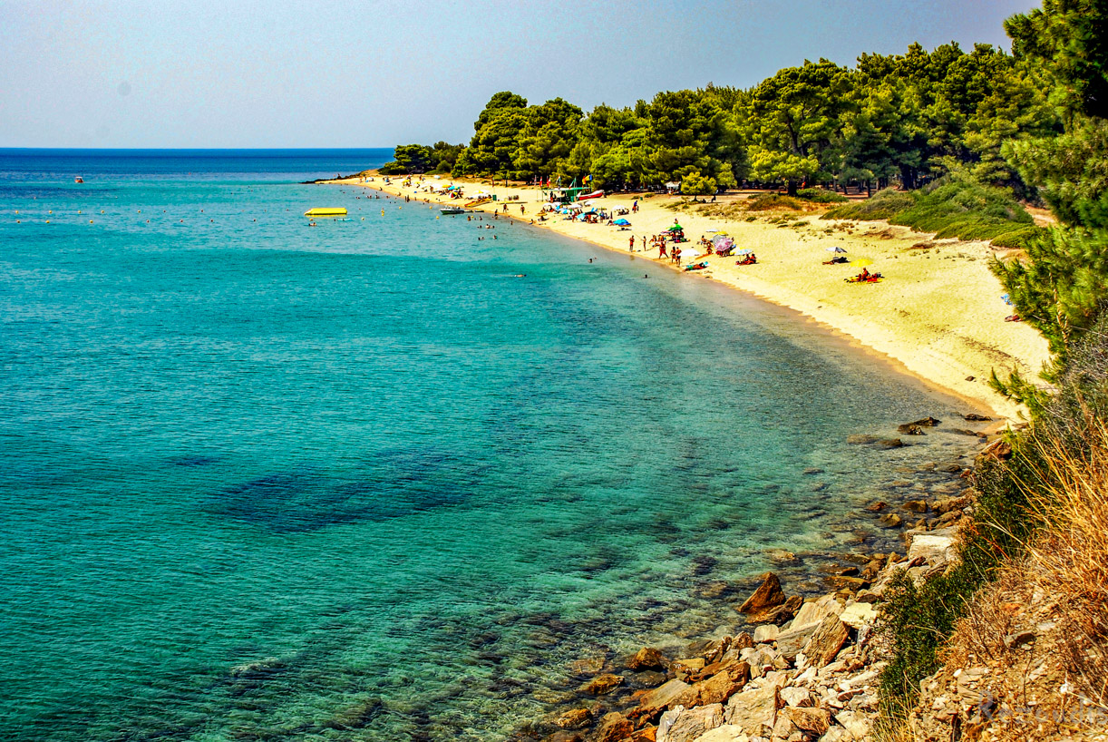 Δ. Σιθωνίας: Οικόπεδα σε αναδασωτέα και αρχαιολογική έκταση