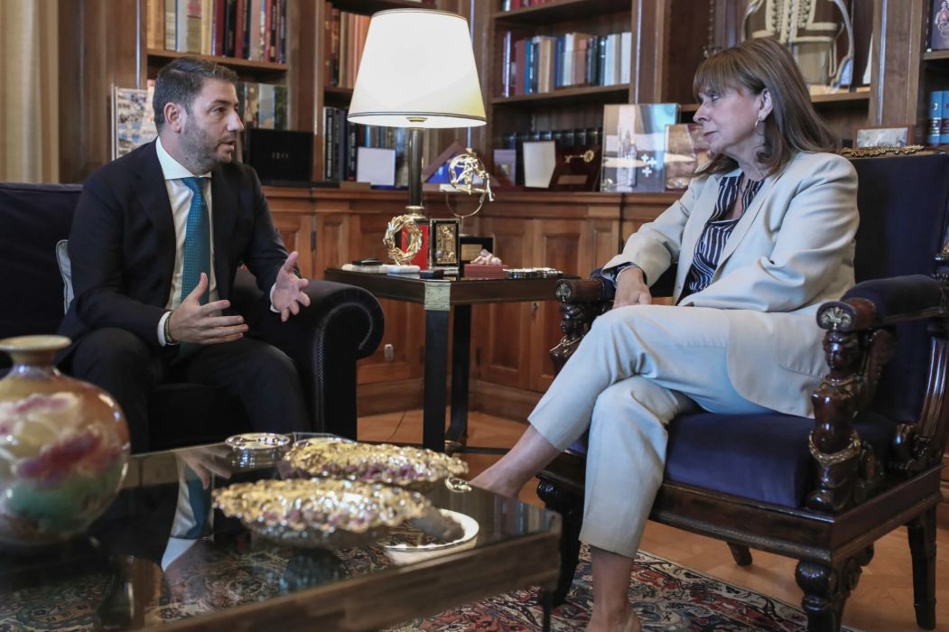 Η συνάντηση του Νίκου με την ΠτΔ