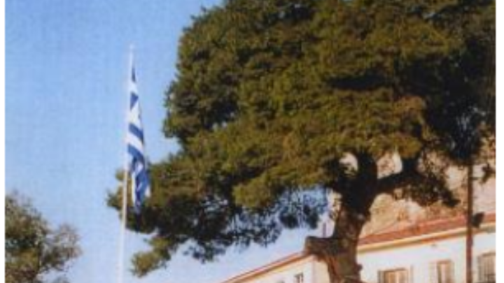 Θεσσαλονίκη: Θα απομακρυνθεί το πεύκο του Επταπυργίου ηλικίας 130 ετών!