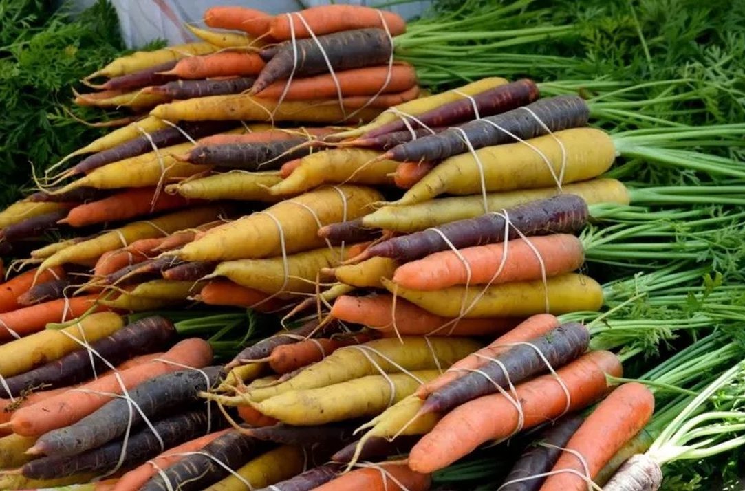 Καρότα ή αρακάς; Ποιο λαχανικό είναι πιο ωφέλιμο