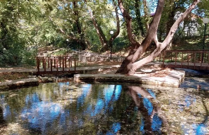 Θανατηφόρα ασθένεια «θερίζει» τα υπεραιωνόβια πλατάνια στον Σπερχειό