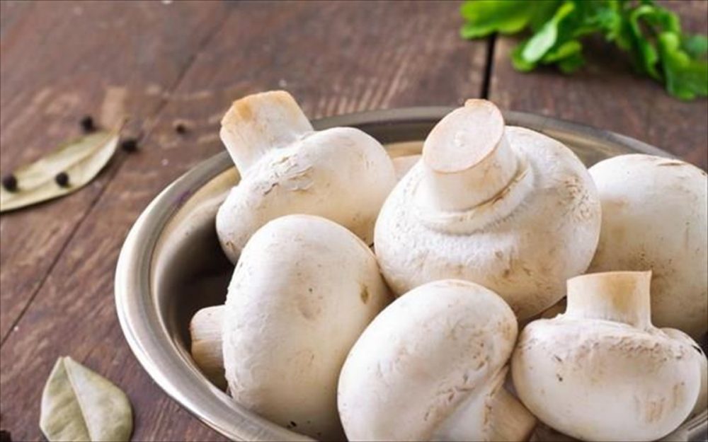 Θεσσαλονίκη: «Γιορτή μανιταριού» την Κυριακή