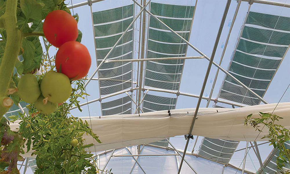 Στη Θεσσαλονίκη το πρώτο ενεργειακά αυτόνομο θερμοκήπιο