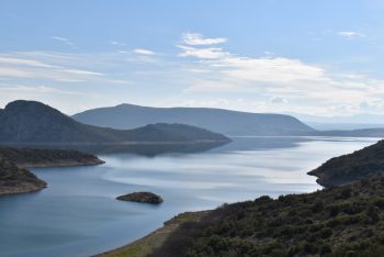 Οργανισμός Φυσικού Περιβάλλοντος και Κλιματικής Αλλαγής: Πολλαπλά έργα για την έρευνα των ενδημικών και απειλούμενων ειδών της Ελλάδας