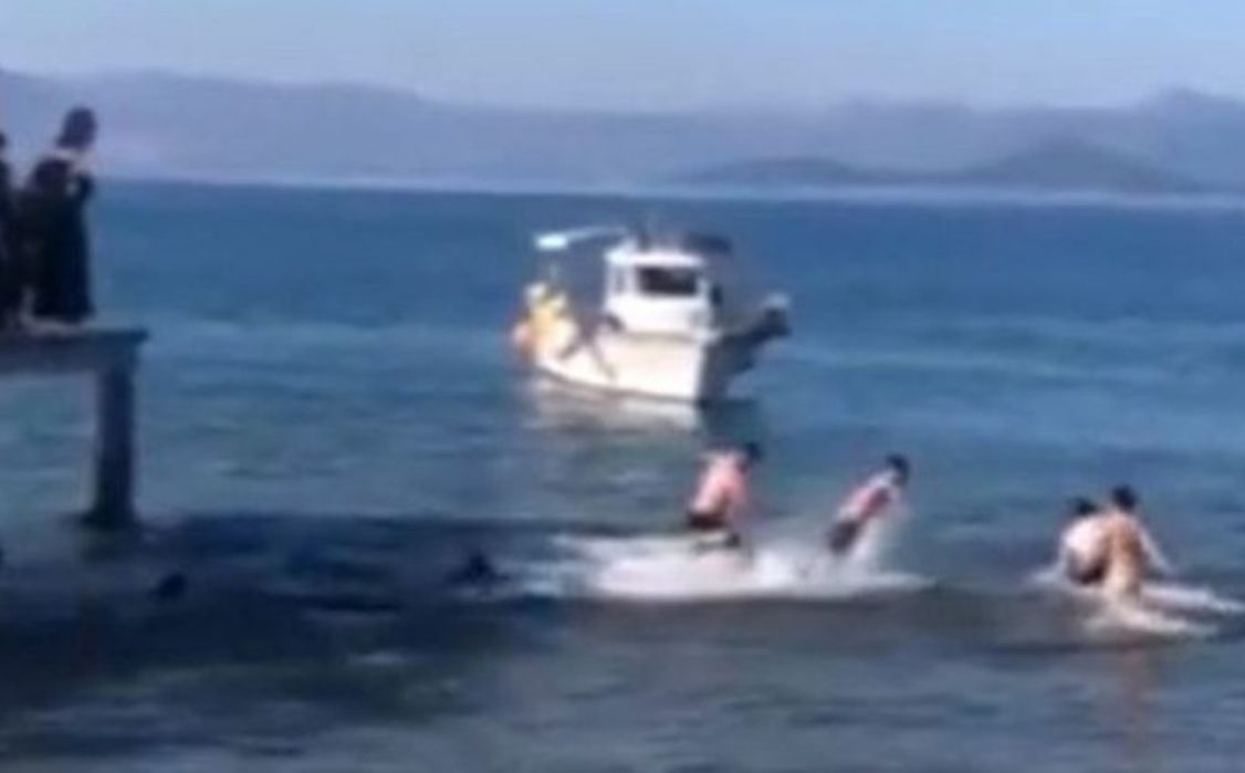 Φθιώτιδα: Σοβαρός τραυματισμός 22χρονου που βούτηξε για τον σταυρό (Video)