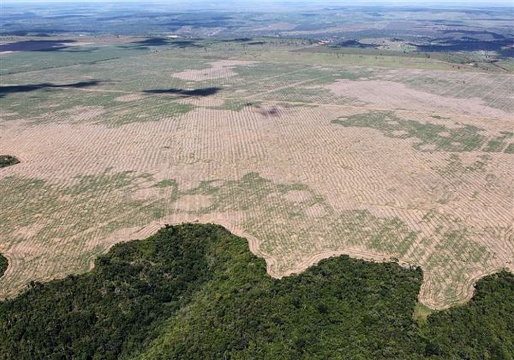 Μελέτη: Οι άνθρωποι καταστρέφουν το τροπικό δάσος του Αμαζονίου