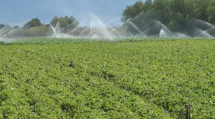 Καλλιέργεια, μεταφορά και συσκευασία καθορίζουν το κλιματικό αποτύπωμα των τροφίμων