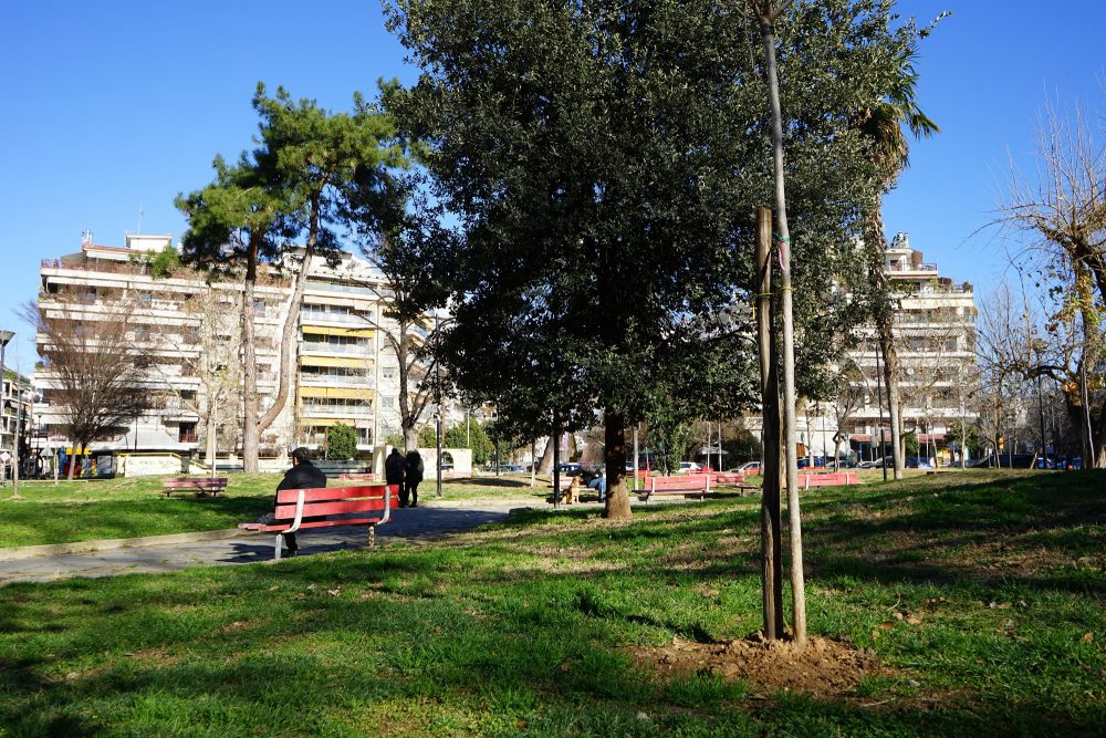 Θεσσαλονίκη: Εκατοντάδες δενδροφυτεύσεις αλλάζουν το «πρόσωπο» της οδού Κρήτης