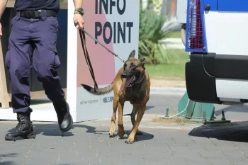 Θεσσαλονίκη: Αστυνομικός σκύλος ξετρύπωσε ναρκωτικά κρυμμένα σε παιδικό κάθισμα