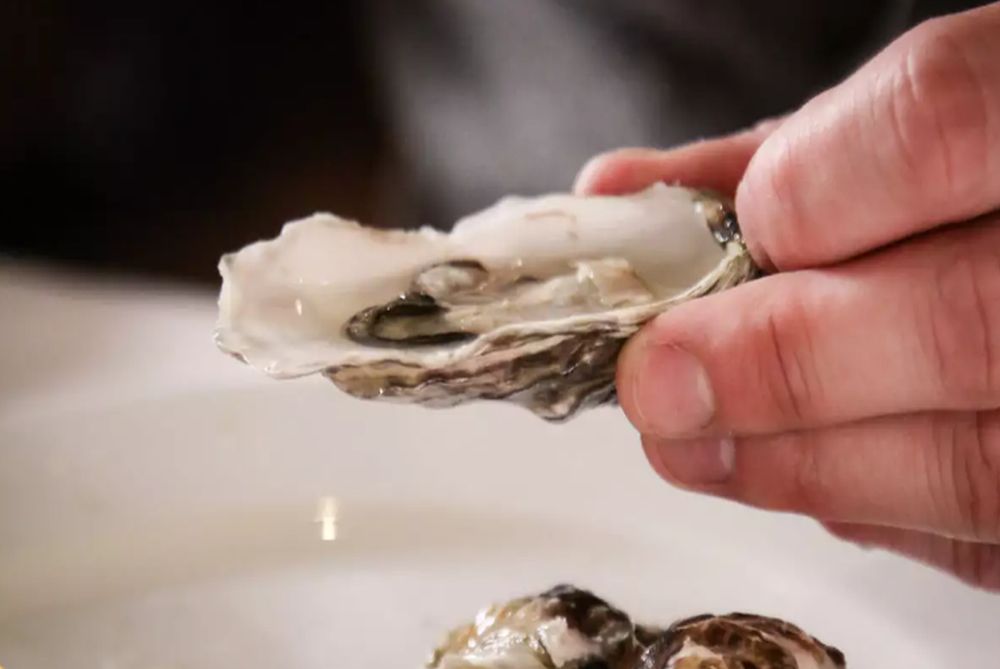 Προσοχή: Πηγαίνετε επειγόντως στον γιατρό αν δείτε αυτό στο δέρμα σας μετά από γεύμα με θαλασσινά