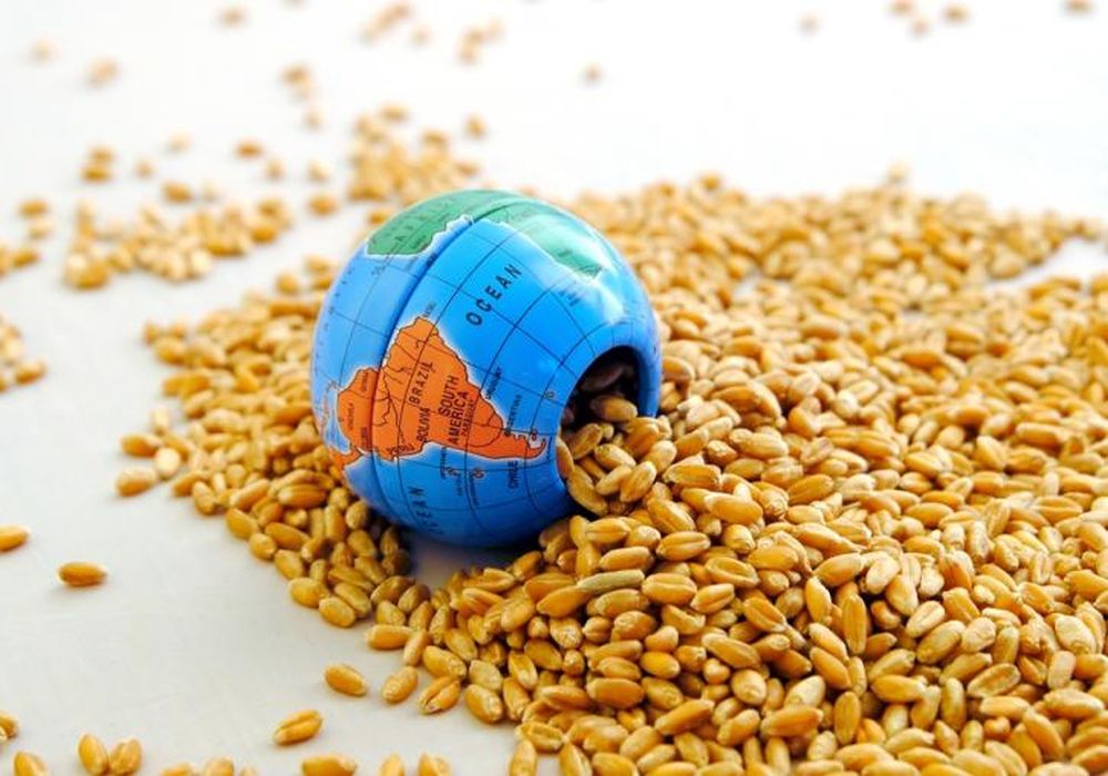 ΟΗΕ: Νέα μείωση στις παγκόσμιες τιμές των τροφίμων