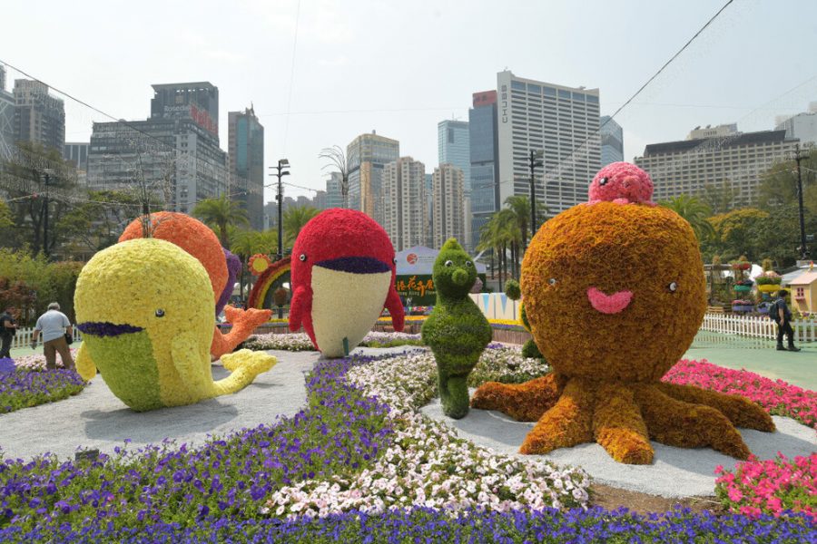 Αυτό το λουλούδι είναι ο «πρωταγωνιστής» στην πολύχρωμη ανθοέκθεση του