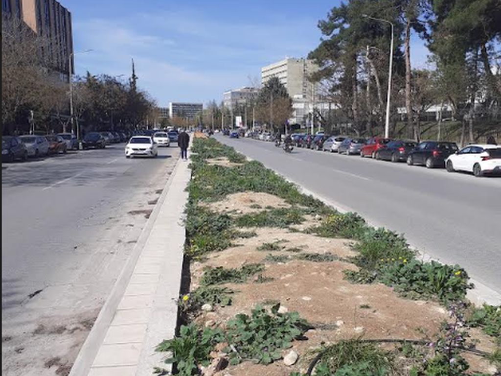 Πρωτοβουλία Στ. Αγγελούδη για τη φύτευση νησίδας στη μνήμη των θυμάτων της τραγωδίας των Τεμπών