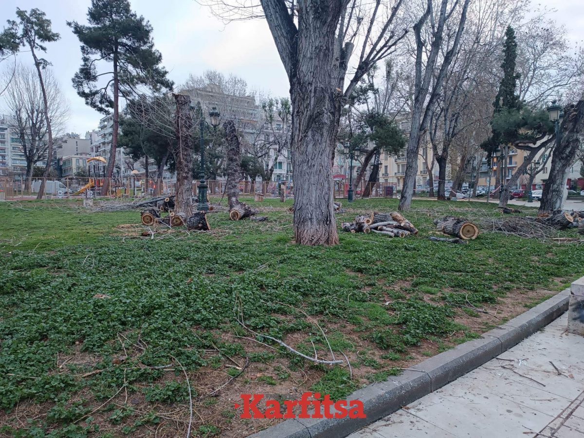 Θεσσαλονίκη: Εξαγριωμένοι πολίτες διαμαρτύρονται για τις κοπές δέντρων (ΦΩΤΟ)