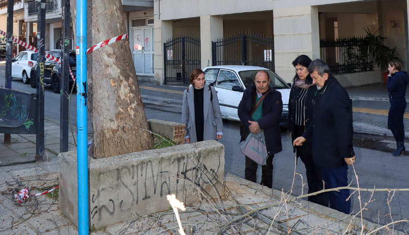 Δ. Νεάπολης – Συκεών: Κλάδεμα δέντρων υπό την επίβλεψη του καθηγητή του ΑΠΘ Θ. Ζάγκα