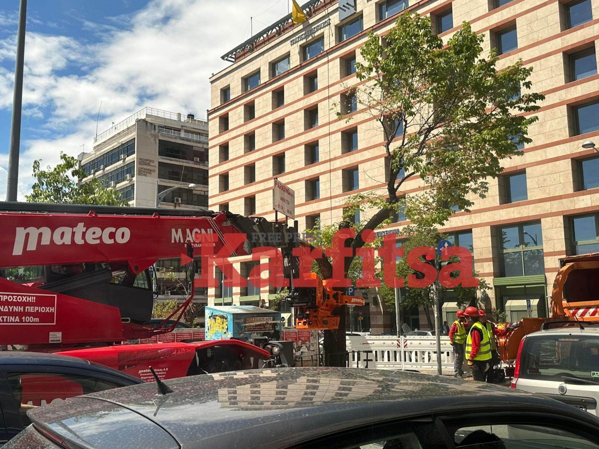 Θεσσαλονίκη: Άρχισαν οι κοπές των δέντρων στην οδό Τσιμισκή (ΦΩΤΟ)