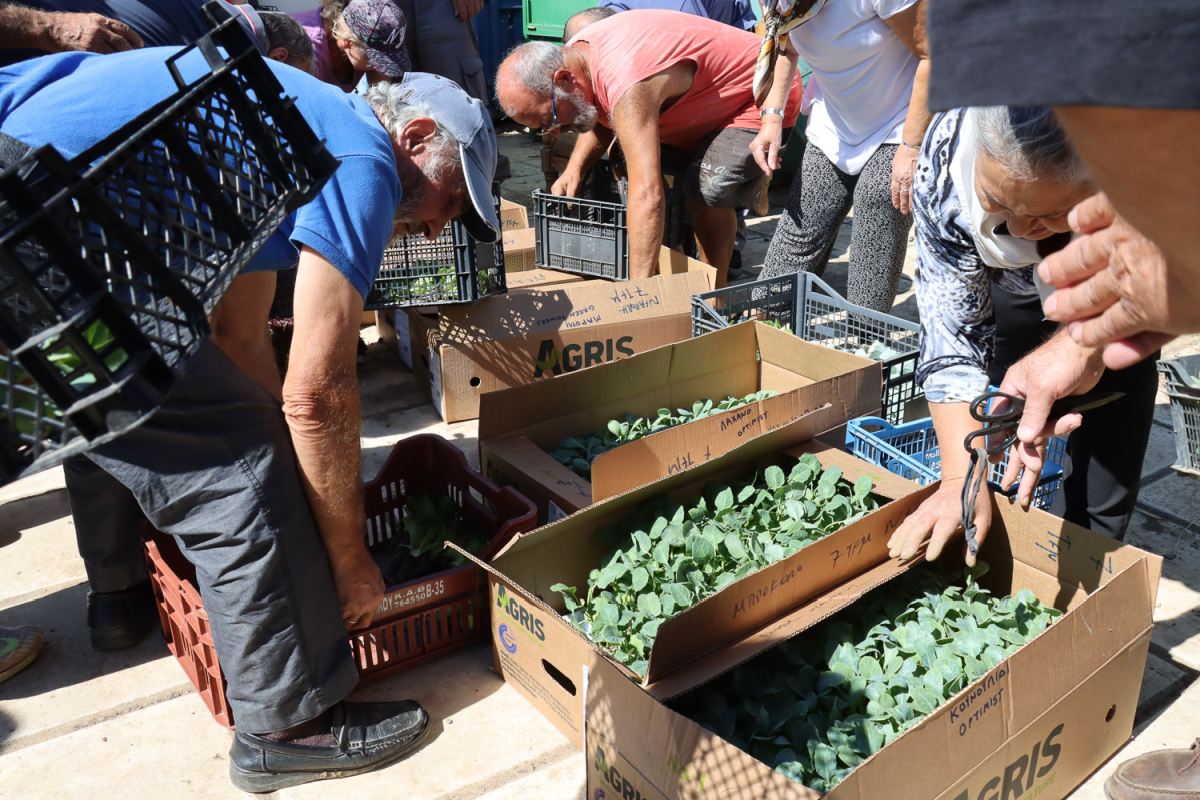 Dimotikoi -Laxanokipoi