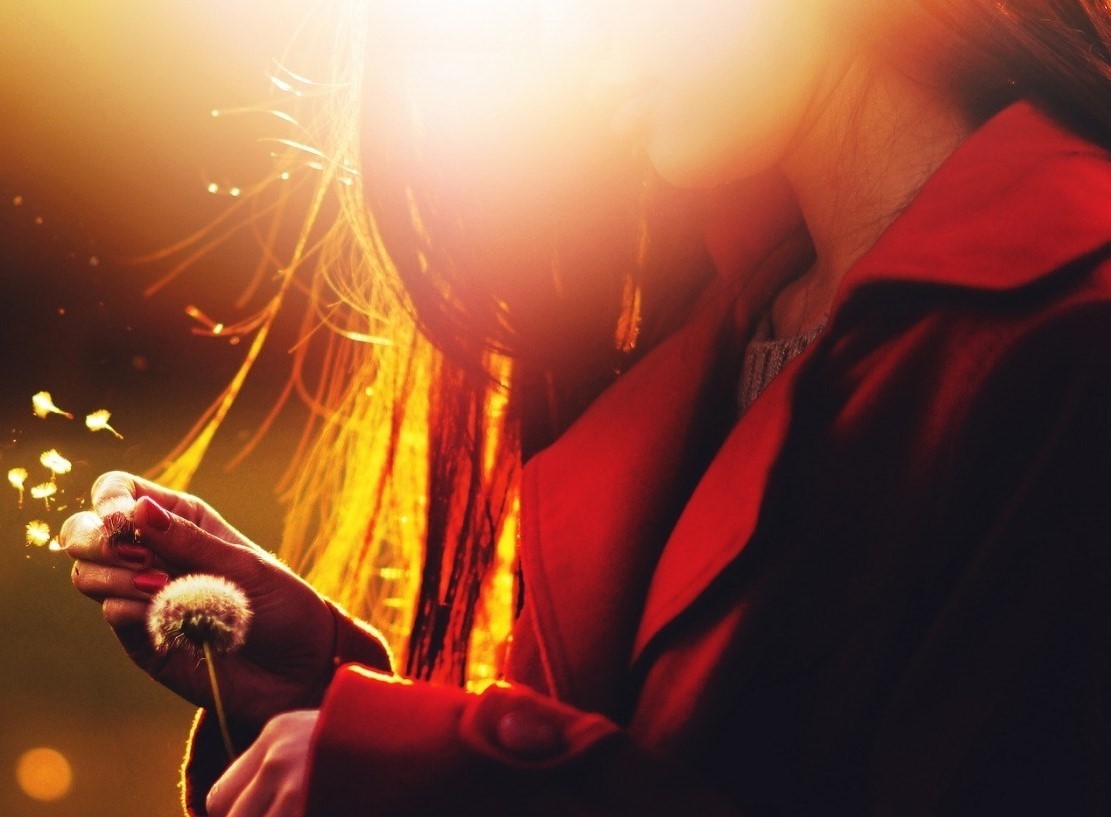 autoekpliroumeni-profiteia