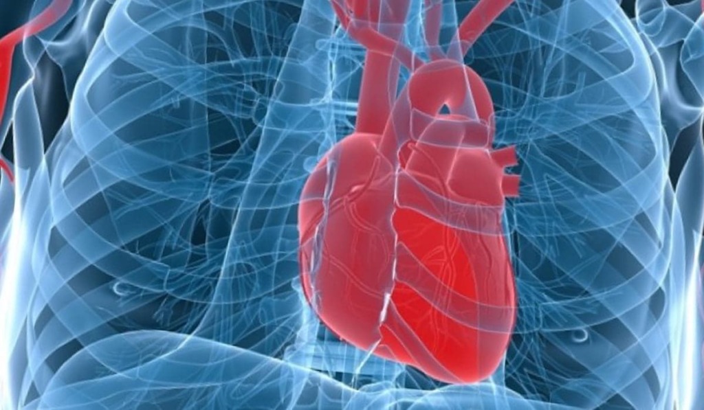 Κολπική μαρμαρυγή: Ποιοι κινδυνεύουν να την αναπτύξουν και πώς να προστατευθούν