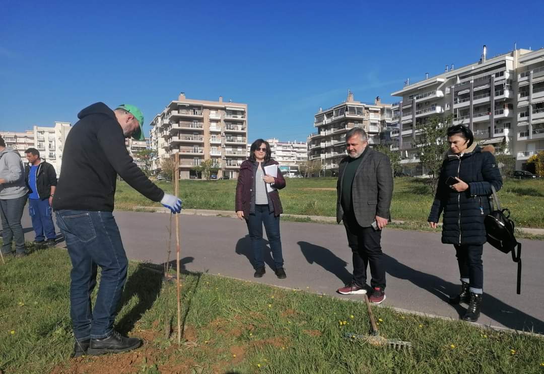 Δ. Κορδελιού – Ευόσμου: Τριάντα σφενδαμόδεντρα φυτεύτηκαν άνωθεν περιφερειακού (ΦΩΤΟ)