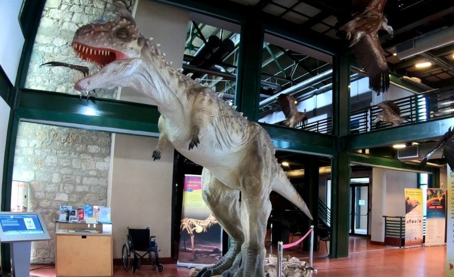 Ούρησαν και αφόδευσαν μέσα στο Μουσείο Φυσικής Ιστορίας Κρήτης