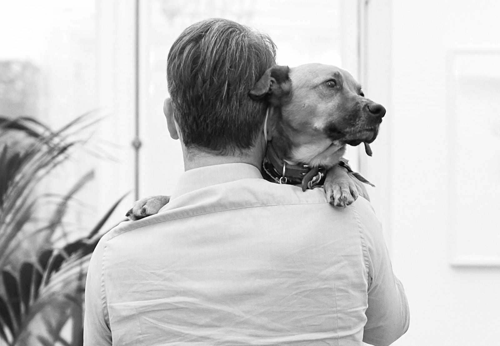 Κ. Μητσοτάκη για την Παγκόσμια Ημέρα Αδέσποτων Ζώων: «Κανένα ζώο αδέσποτο, κανένα κακοποιημένο» (Video)