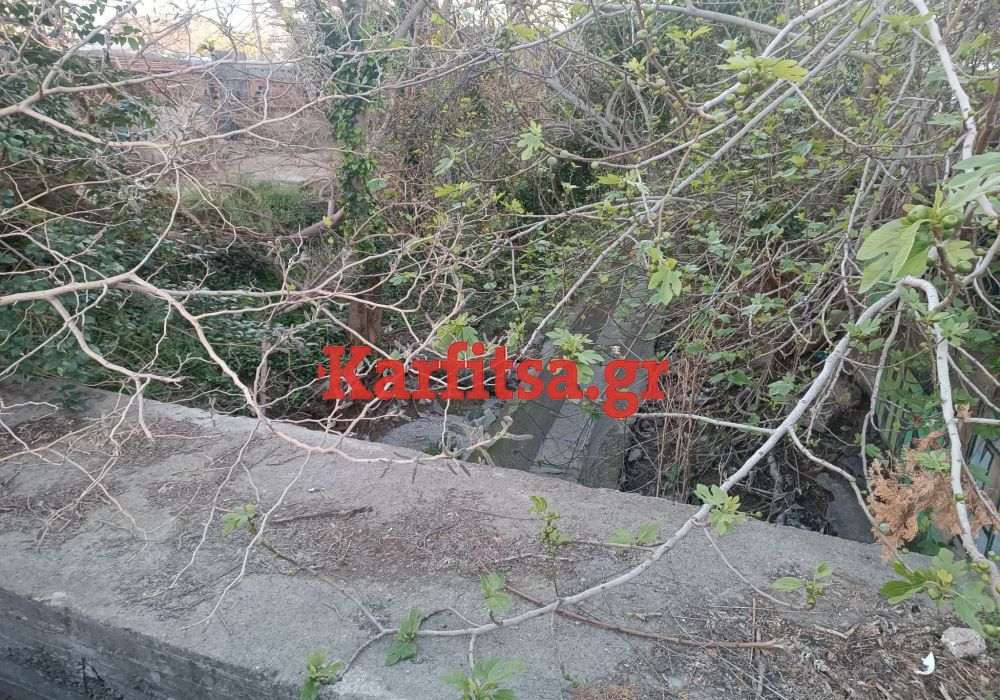 Μικρή όαση… παραμελημένη και εξαφανισμένη στη Θεσσαλονίκη (ΦΩΤΟ)