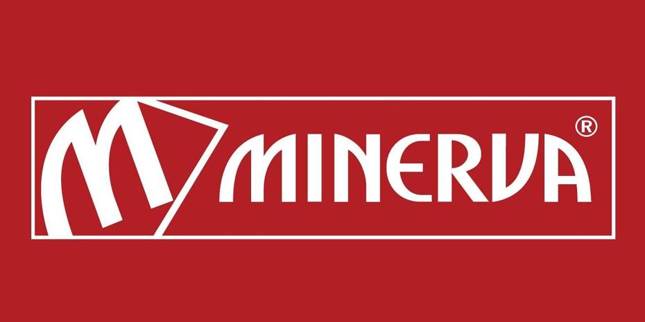 Σε κερδοφόρο πορεία η Μινέρβα