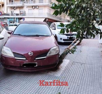 Θεσσαλονίκη: Μήνυση κατά ασυνείδητου οδηγού που πάρκαρε το αυτοκίνητό του πάνω σε κορμό δέντρου