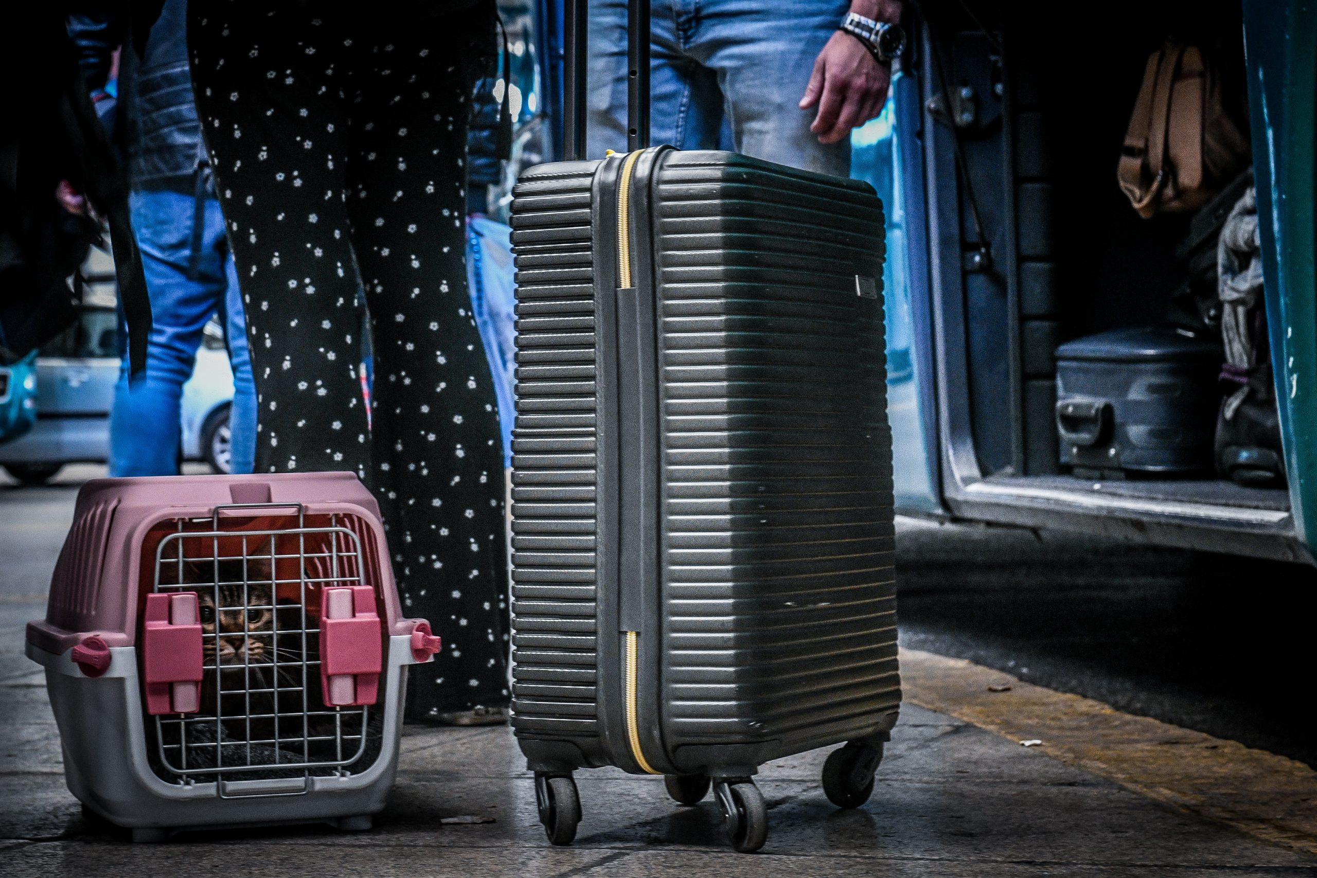 ΚΤΕΛ Μακεδονία: Επιπλέον δρομολόγια το σ/κ για τις εκλογές – Ήδη ξεκίνησαν οι κρατήσεις