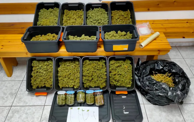 Θεσσαλονίκη: Eίχε στο σπίτι του πάνω από 4,5 κιλά κάνναβης