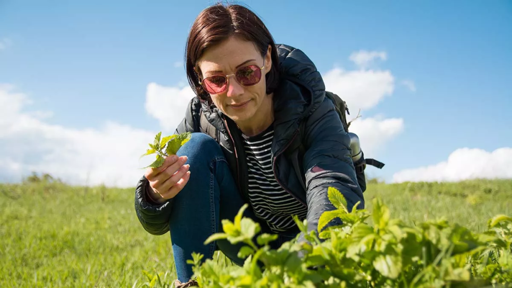 Nόσος Αλτσχάιμερ: Το μυρωδικό που δυναμώνει τη μνήμη – Το έχουμε όλοι στην κουζίνα
