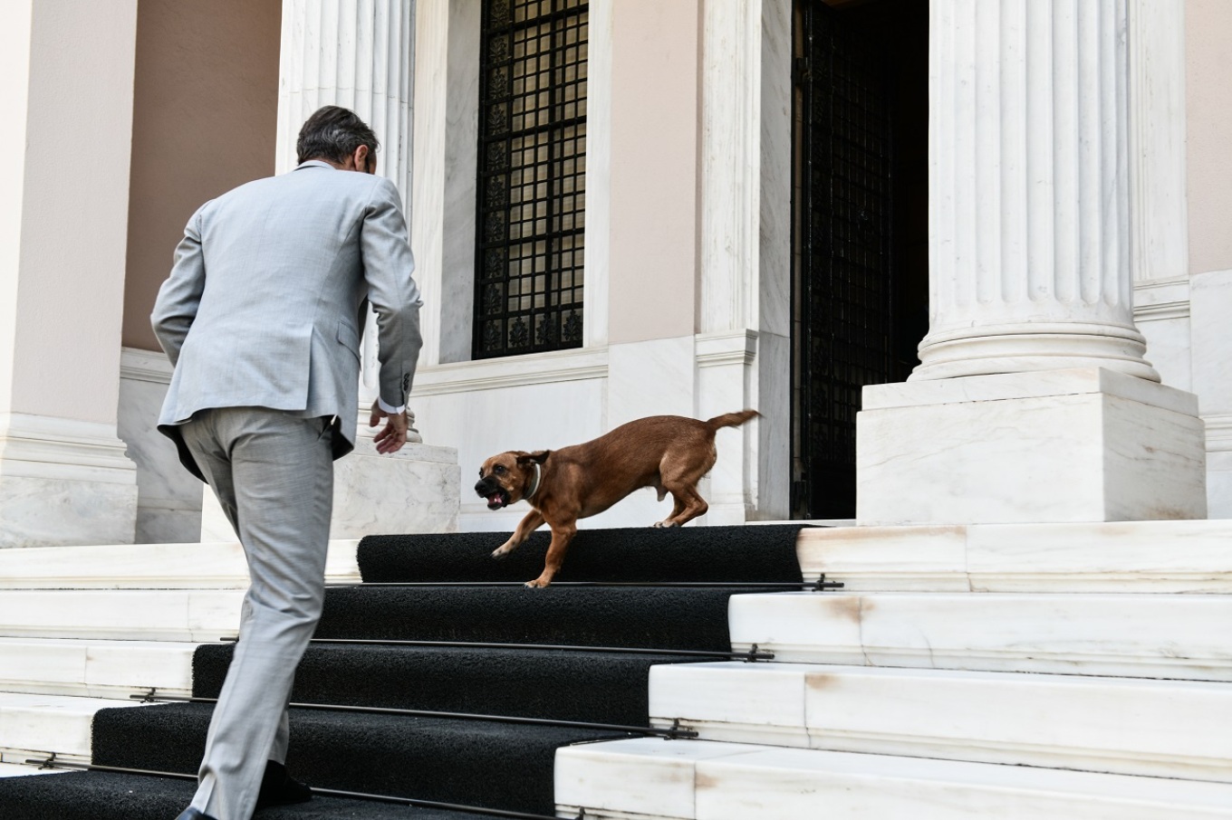 Εκλογές 2023: Ο Πίνατ το «κομματόσκυλο» μετακομίζει στα γραφεία της ΝΔ